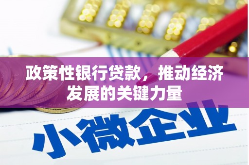 美兰政策性银行贷款，推动经济发展的关键力量
