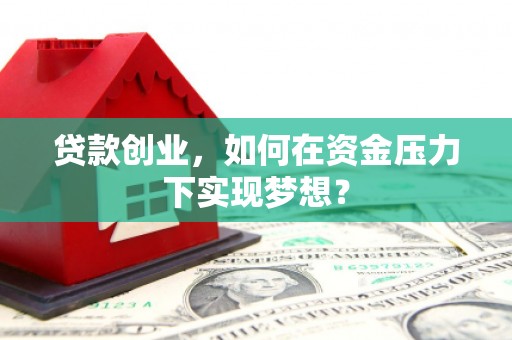 美兰贷款创业，如何在资金压力下实现梦想？