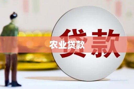 美兰农业贷款