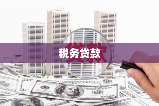 美兰税务贷款