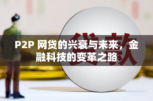 美兰P2P 网贷的兴衰与未来，金融科技的变革之路