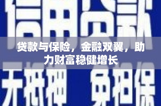 美兰贷款与保险，金融双翼，助力财富稳健增长