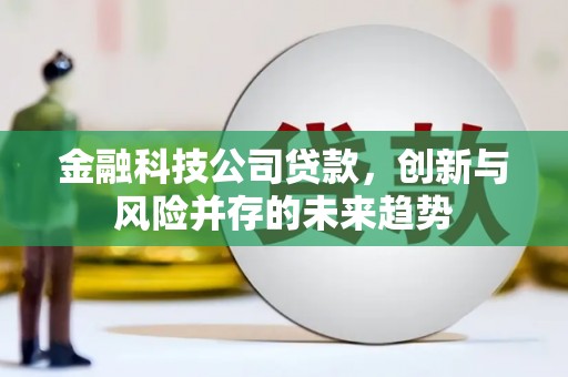 美兰金融科技公司贷款，创新与风险并存的未来趋势