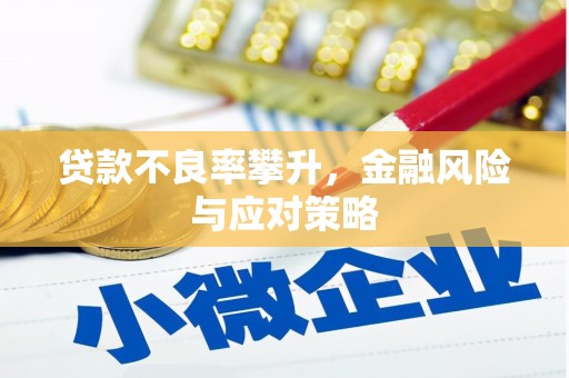 美兰贷款不良率攀升，金融风险与应对策略