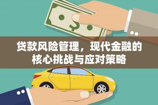 美兰贷款风险管理，现代金融的核心挑战与应对策略