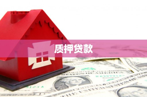 美兰质押贷款