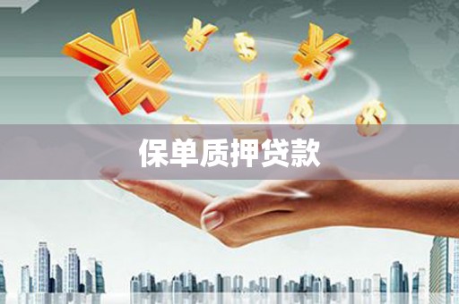 美兰保单质押贷款