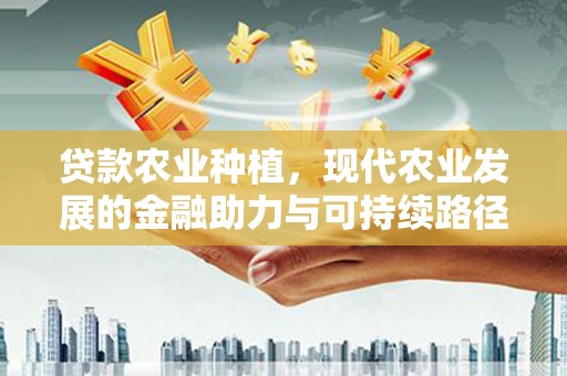 美兰贷款农业种植，现代农业发展的金融助力与可持续路径