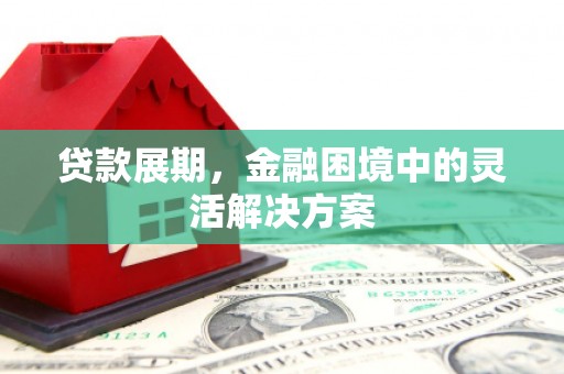 美兰贷款展期，金融困境中的灵活解决方案