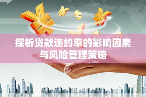 美兰探析贷款违约率的影响因素与风险管理策略