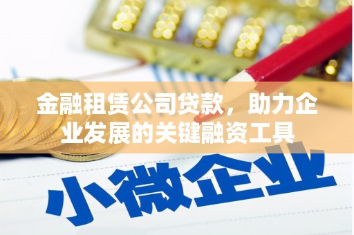 美兰金融租赁公司贷款，助力企业发展的关键融资工具