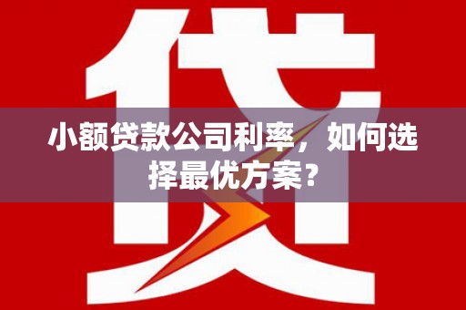 美兰小额贷款公司利率，如何选择最优方案？