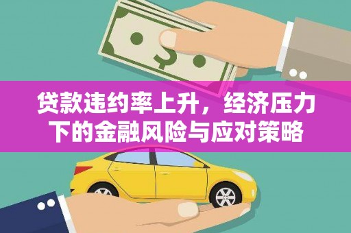 美兰贷款违约率上升，经济压力下的金融风险与应对策略