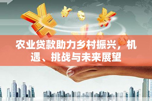 美兰农业贷款助力乡村振兴，机遇、挑战与未来展望