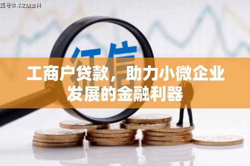 美兰工商户贷款，助力小微企业发展的金融利器