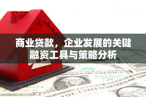 美兰商业贷款，企业发展的关键融资工具与策略分析