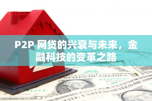 美兰P2P 网贷的兴衰与未来，金融科技的变革之路
