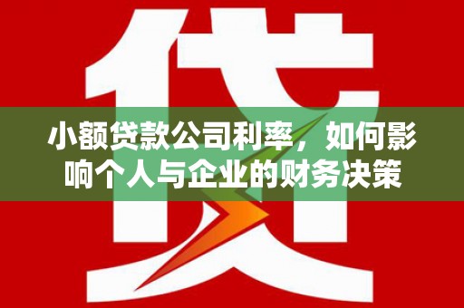 美兰小额贷款公司利率，如何影响个人与企业的财务决策