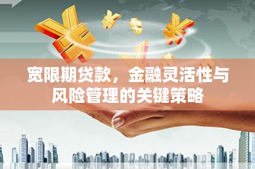美兰宽限期贷款，金融灵活性与风险管理的关键策略