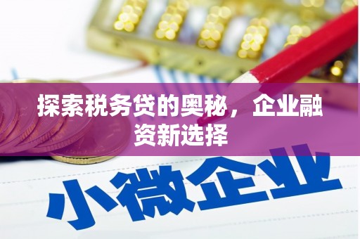 美兰探索税务贷的奥秘，企业融资新选择