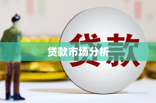 美兰贷款市场分析