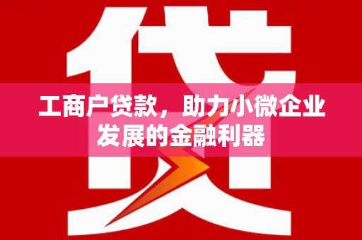 美兰工商户贷款，助力小微企业发展的金融利器