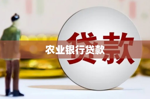 美兰农业银行贷款