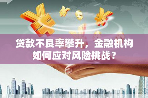 美兰贷款不良率攀升，金融机构如何应对风险挑战？