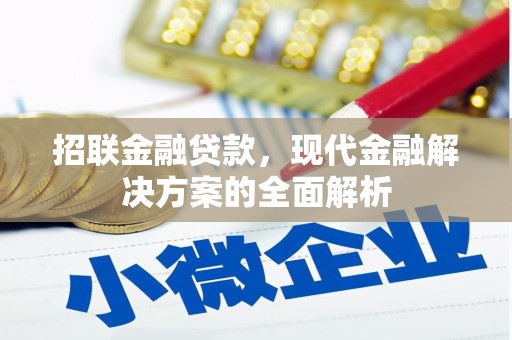 美兰招联金融贷款，现代金融解决方案的全面解析