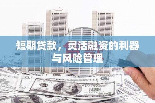 美兰短期贷款，灵活融资的利器与风险管理