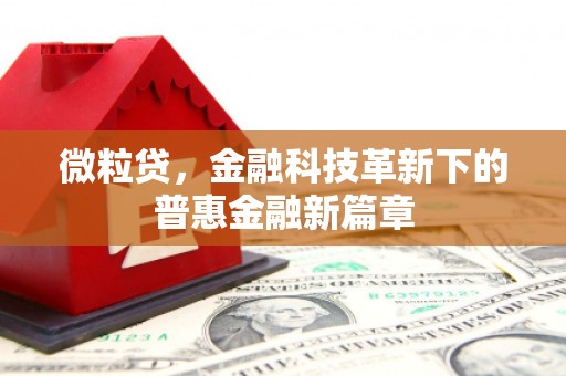 美兰微粒贷，金融科技革新下的普惠金融新篇章