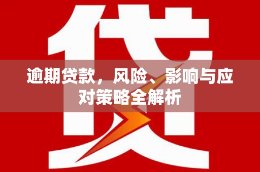 美兰逾期贷款，风险、影响与应对策略全解析