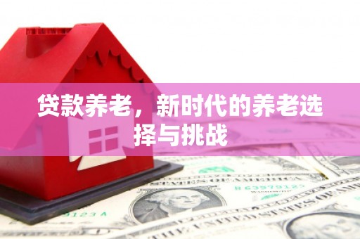 美兰贷款养老，新时代的养老选择与挑战