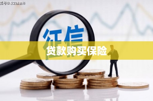 美兰贷款购买保险