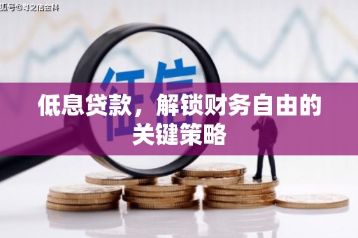 美兰低息贷款，解锁财务自由的关键策略