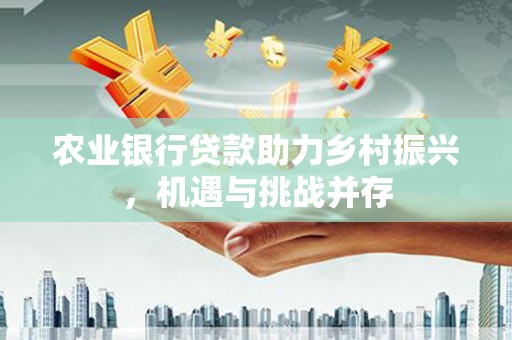 美兰农业银行贷款助力乡村振兴，机遇与挑战并存