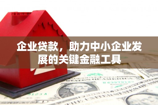 美兰企业贷款，助力中小企业发展的关键金融工具