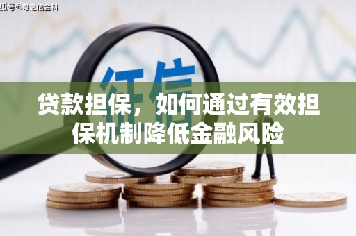 美兰贷款担保，如何通过有效担保机制降低金融风险