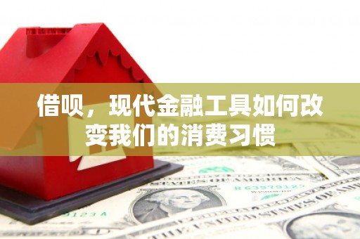 美兰借呗，现代金融工具如何改变我们的消费习惯
