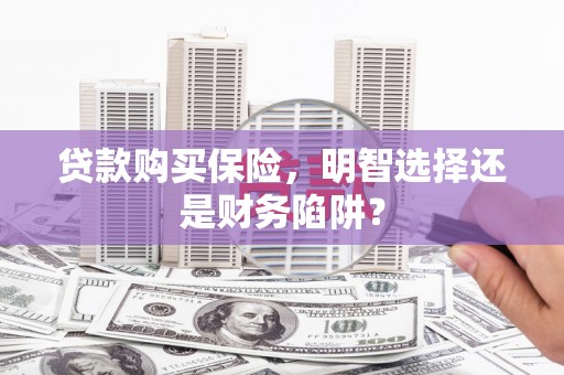 美兰贷款购买保险，明智选择还是财务陷阱？