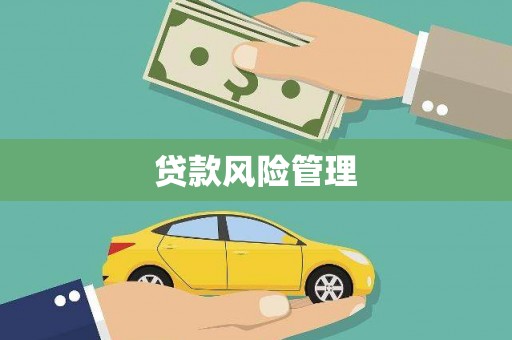 美兰贷款风险管理