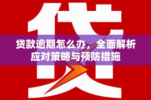 美兰贷款逾期怎么办，全面解析应对策略与预防措施