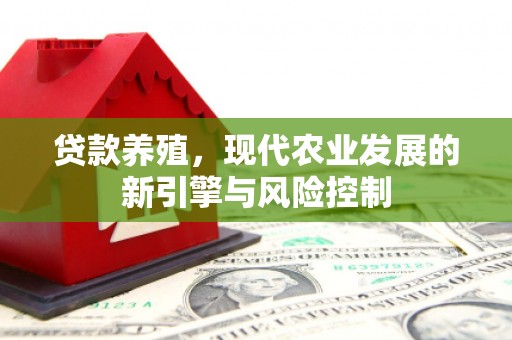 美兰贷款养殖，现代农业发展的新引擎与风险控制