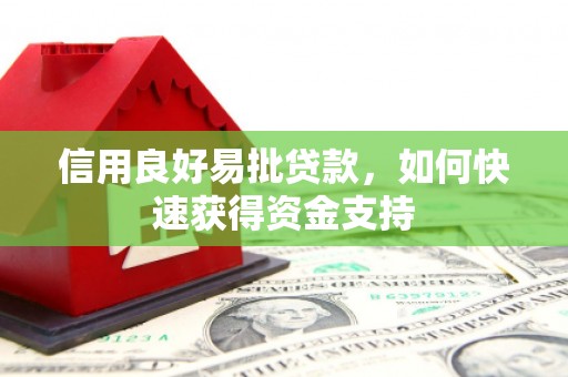 美兰信用良好易批贷款，如何快速获得资金支持