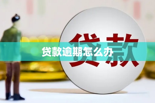 美兰贷款逾期怎么办