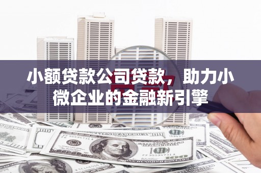 美兰小额贷款公司贷款，助力小微企业的金融新引擎