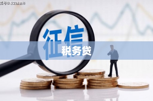 美兰税务贷
