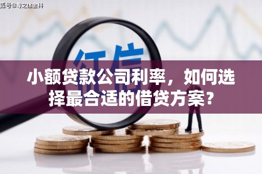 美兰小额贷款公司利率，如何选择最合适的借贷方案？