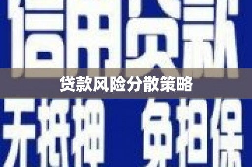 美兰贷款风险分散策略