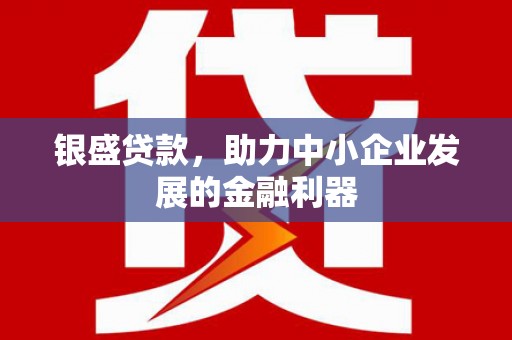 美兰银盛贷款，助力中小企业发展的金融利器